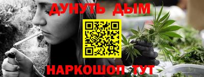крисы Будённовск