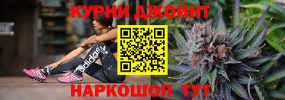 крисы Будённовск